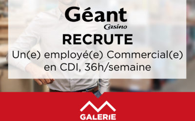 Géant Casino, Recrutement Employé(e) Commercial(e)